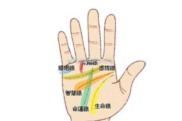 1994腊月17日出生的人生运势与命理解析 1994腊月17日出生的人生运势与命理解析