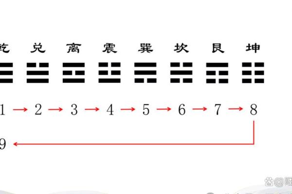 女命五土三金的命局解析与人生启示