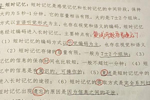 脚后跟的秘密：解码富贵命运的潜在信息