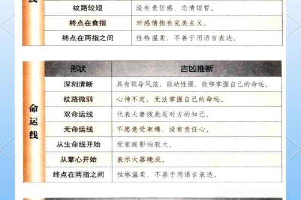 绘掌识命:掌纹奥秘揭示你的命运之路 绘掌识命:掌纹奥秘揭示你的命运之路