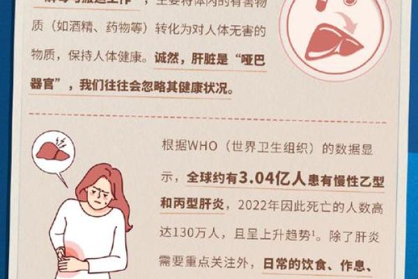 女人的健康密码：为何“以肝为命”？