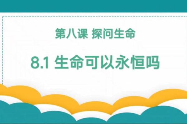 探寻“命”的深意：生命的起源与尊重