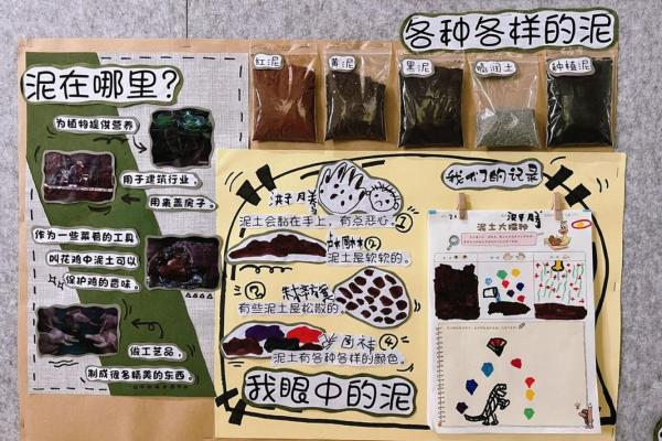 路旁土壤的秘密：解密土壤对命理的深远影响