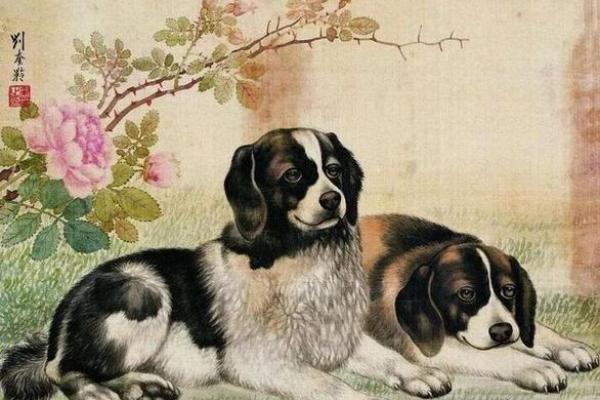 狗生于丑时命运解读：揭开命运的神秘面纱