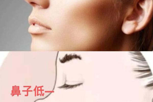女性鼻子塌的命理解析：从面相看人生的运势与性格