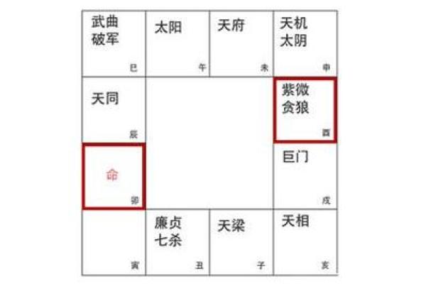 探秘紫薇命盘：了解你命运的秘密钥匙
