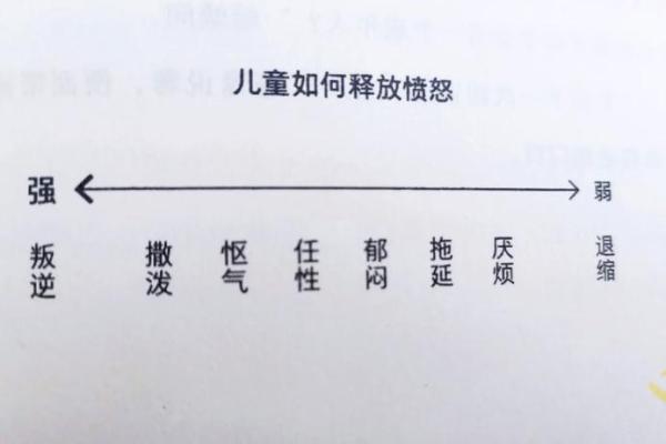 孩子命不好，背后的心理与环境影响解析