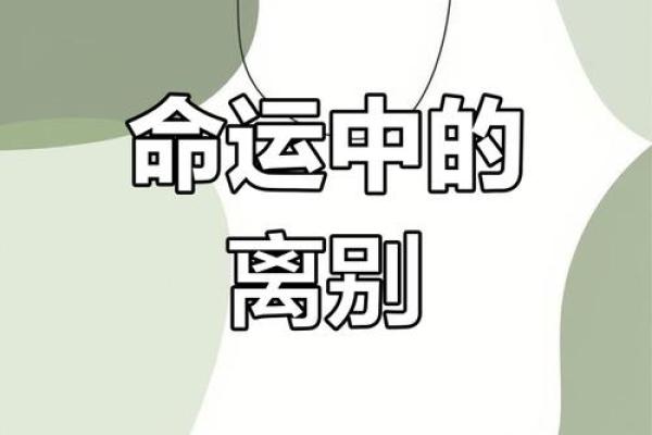 71年12月出生的人：命运的秘密与人生的启示