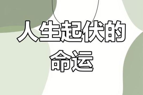 2000年出生的你，事业运势将如何发展？一起来探讨人生的可能性！