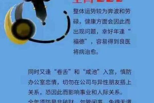 72岁生肖与命理解析：揭秘你的命运之路