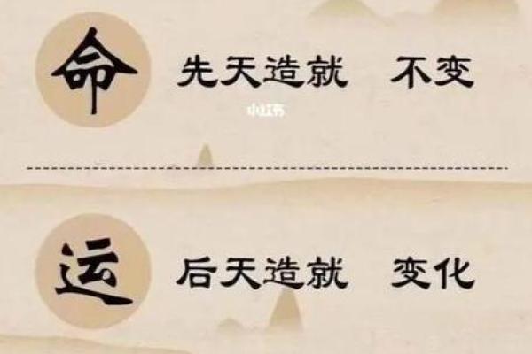 什么都比不上命好,命运的馈赠与反思 什么都比不上命好,命运的馈赠与反思