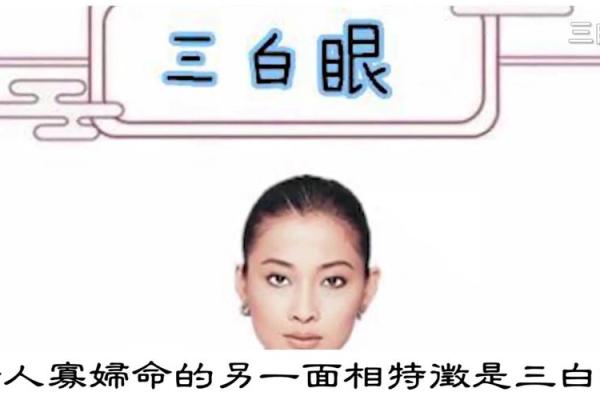 旁土命适合的颜色与优化个人运势的秘密