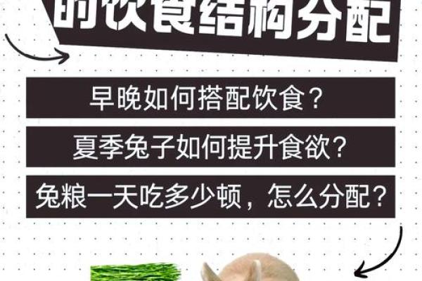 正月兔宝宝：命理解析与养育之道的完美结合