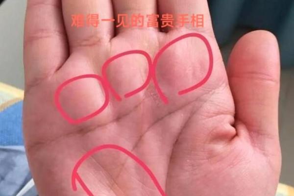 手上长猴子，究竟预示着什么命格？解密你不知道的秘密！