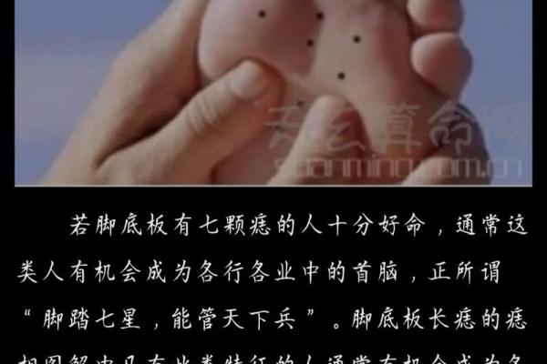 脚的形状与命运的秘密：从足部解读你的命理人生