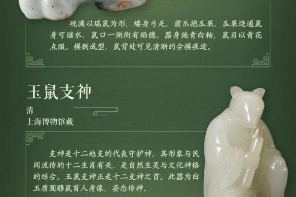 八八年属于什么生肖与命运解析，揭秘你的天生特质