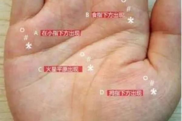 手掌横纹：揭示你命运的秘密！