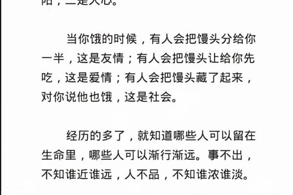 什么你如宝，什么你如命：生活中不可或缺的那些东西