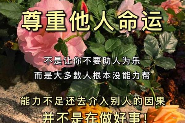 1990年正月23日出生的人命理解析与人生建议