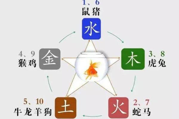 探秘命理:如何通过养鱼提升运势与财富运 探秘命理:如何通过养鱼提升运势与财富运