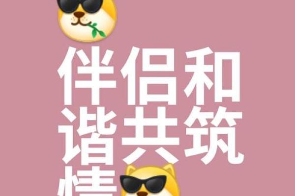 比翼双飞，共享美好人生的灵魂伴侣