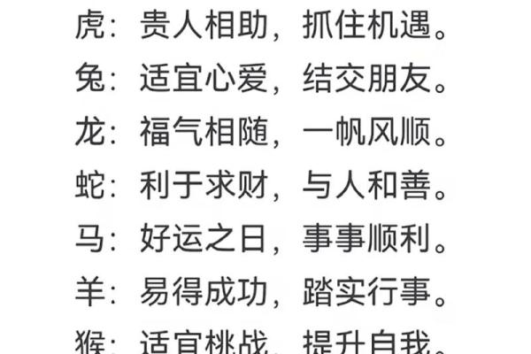2023年鼠年运势分析：命运与财富的双重探索