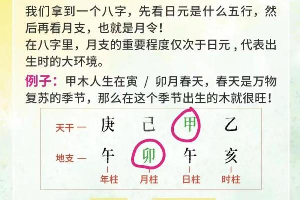 探寻命理学的奥秘：如何通过八字重塑人生道路