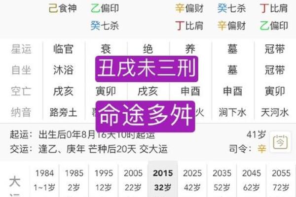 2007年属什么命？解析丁亥年人的性格与命运