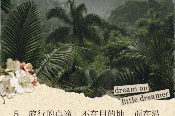 探索心灵的旅程：如何提升内在平和与幸福感