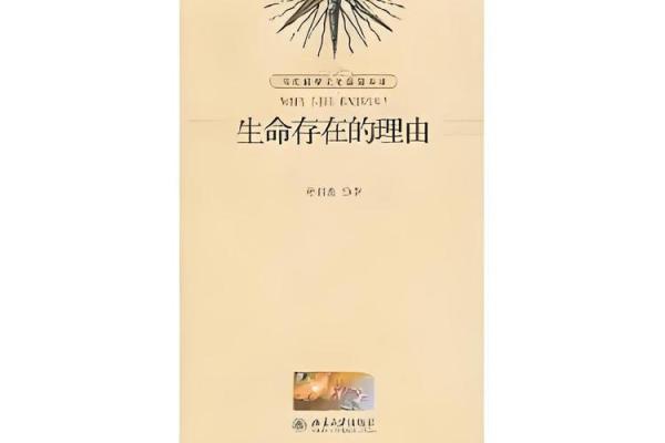 探索业命的奥秘：生命旅程中的因果法则与自我成长