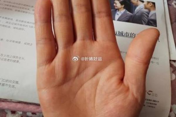 深探“半命”：人类生活中的平衡与追求