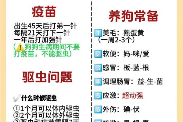 狗年冬天出生宝宝的命运解读与养育指南 狗年冬天出生宝宝的命运解读与养育指南