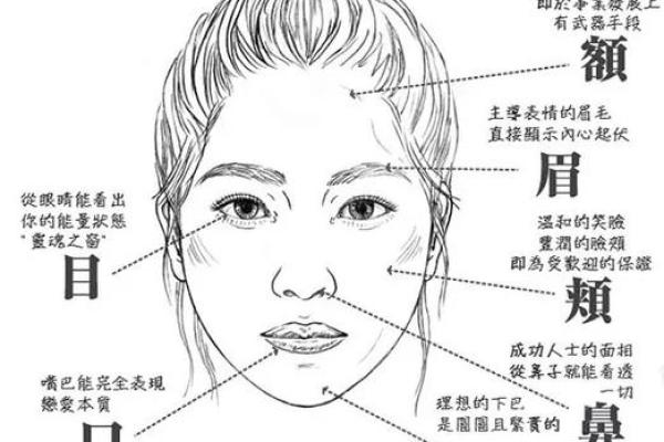 揭秘女人肩膀宽广之命：与肤色、性格和命运的关联