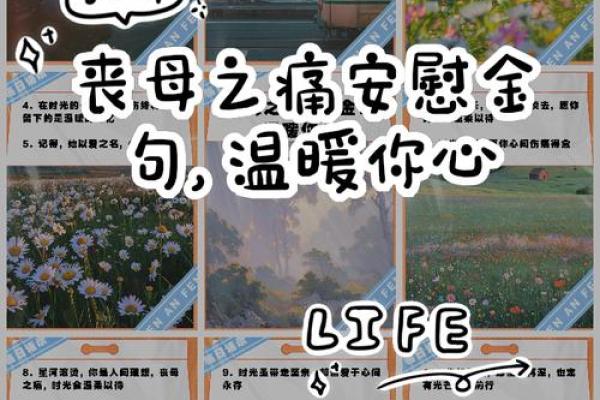 20岁丧母:成长路上的磨难与重生之旅 20岁丧母:成长路上的磨难与重生之旅