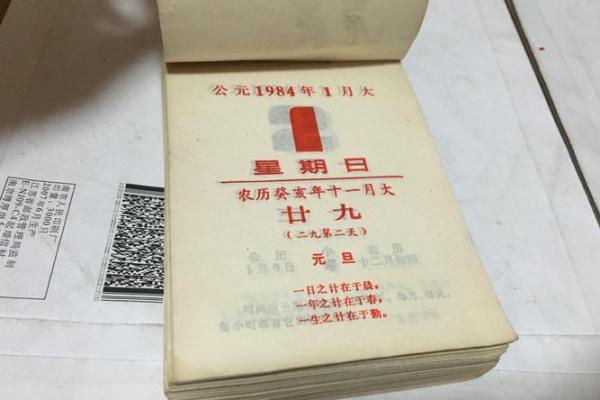 1984年出生的鼠年人：蕴藏着智慧与机遇的命运之路