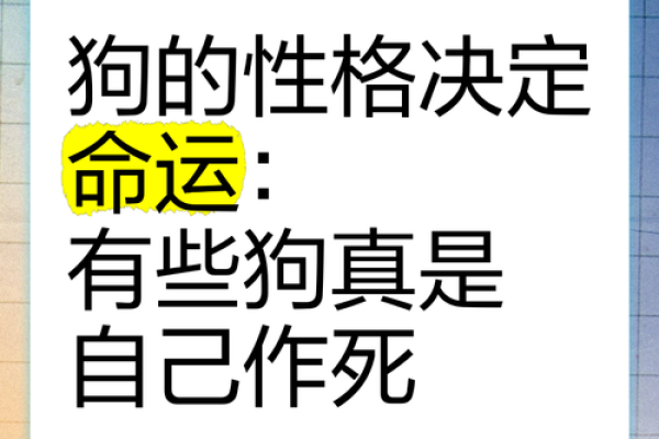 生肖狗的命运与性格:1983年出生者的独特人生之路 生肖狗的命运与性格:1983年出生者的独特人生之路
