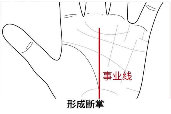 女性双手断掌命运解析：揭示隐藏在掌纹背后的秘密