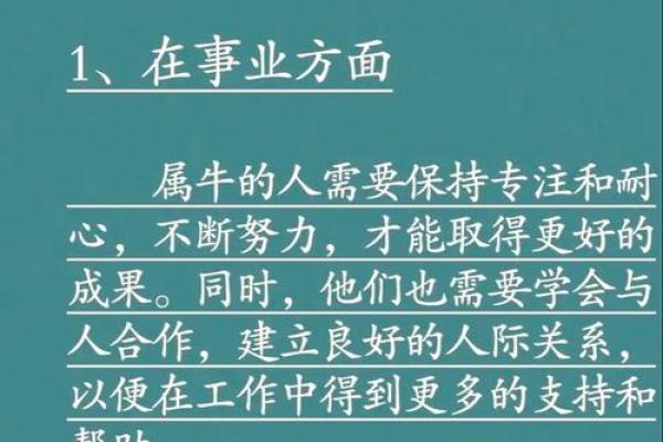 62岁属牛者的命运与生活智慧探讨
