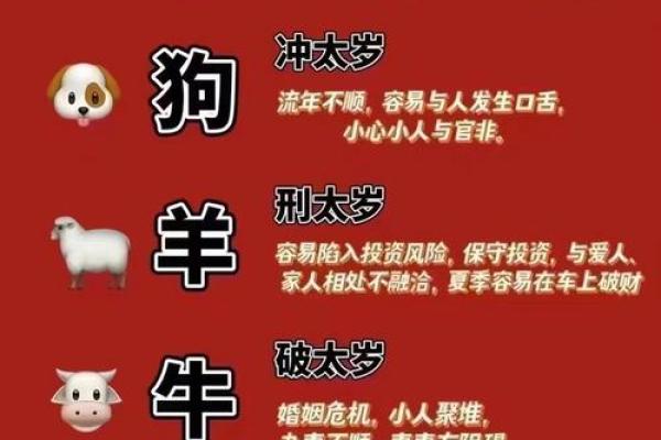 揭示富贵命格：最具财富运势的生肖是哪个？