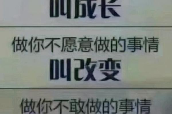 1999年正月十一:命运与生活的哲学思考 1999年正月十一:命运与生活的哲学思考