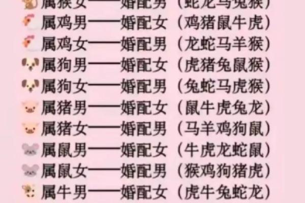 2007年属猪男的命运与性格剖析,助你掌握未来方向 2007年属猪男的命运与性格剖析,助你掌握未来方向