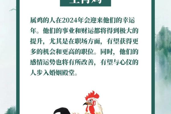揭秘木鸡命的人忌讳生肖，助你避开潜在风险！