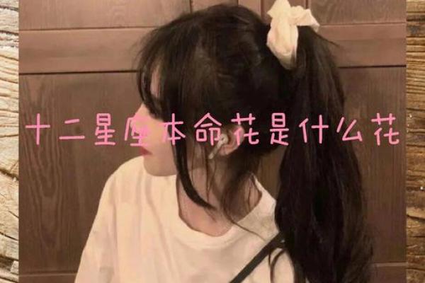 探索5月1日出生者的星座与命运：个性、特征与生活洞察