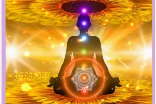揭秘富太太命：面相与财富的秘密之道