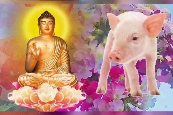 1995年属猪女性命运解析:探索她们的性格、事业与感情之路 1995年属猪女性命运解析:探索她们的性格、事业与感情之路