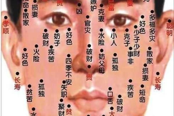 桑柘木命的深意与人生解析：它的好坏与命运的秘密