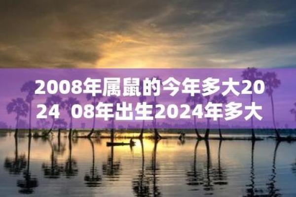 2008年鼠年：机智与机遇的象征