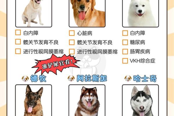 属狗火命的人最需要的颜色分析与选择