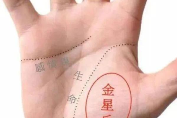 探秘金星带手纹:揭示命运与情感的奥秘 探秘金星带手纹:揭示命运与情感的奥秘