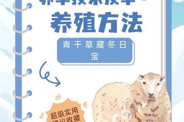 羊土命者最宜的颜色选择与生活智慧探究